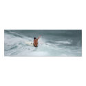 Surf's Up! posters