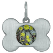 Surge May 2013 Pet Tags