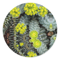 Surge May 2013 Round Sticker