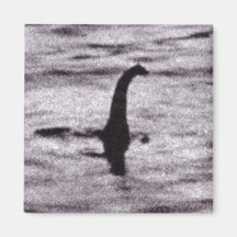 Surgeon's Photo Magnet