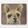 Suri Alpaca Mouse Mats