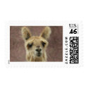 Suri Alpaca Postage Stamps