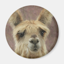 Suri Alpaca Refrigerator Magnets