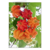 Suriname Cherries cards by joeyartist Suriname Cherries cards