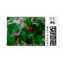 Suriname Cherry Bush Postage