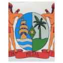 Suriname coat of arms flyers