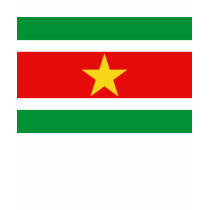 Suriname Flag and Map T-Shirt