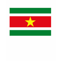 Suriname Flag T-shirt