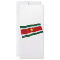 suriname full color rack card