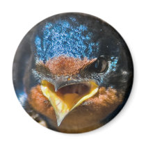 Surly Swallow Magnet