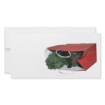 Surprise Christmas gift photo cards