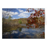 Surprise Lake Cards