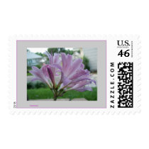 Surprise Lily postage by thedknetwork Surprise Lily postage