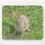 Surprised Bunny Mouse Mat