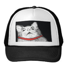Surprised Cat Gasp Meme - Hat