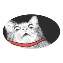 Surprised Cat Gasp Meme - Oval Stickers