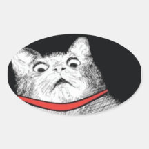 Surprised Cat Gasp Meme - Oval Stickers