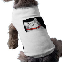 Surprised Cat Gasp Meme - Pet Clothing
