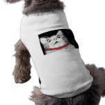 Surprised Cat Gasp Meme - Pet Clothing