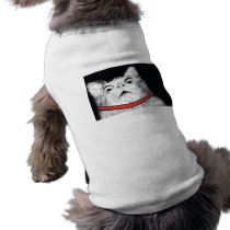 Surprised Cat Gasp Meme - Pet Clothing