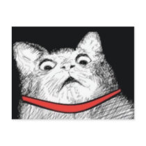 Surprised Cat Gasp Meme - Postcard