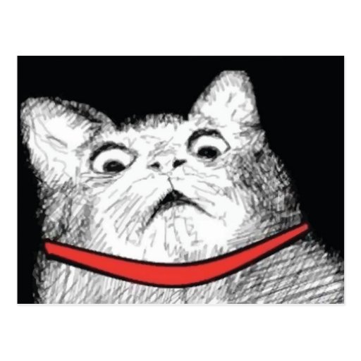 surprised_cat_gasp_meme_postcard-r061397181b5e47e3aeafdc0224f921b6_vgbaq_8byvr_512.jpg?bg=0xffffff