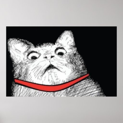 surprised_cat_gasp_meme_poster-rf75f794c1c574582ba67fc0d6acbdec7_aev9w_8byvr_512.jpg