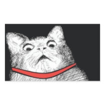 Surprised Cat Gasp Meme - Rectangle Stickers