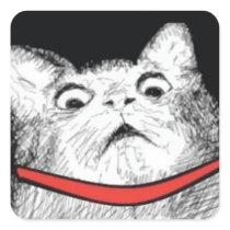 Surprised Cat Gasp Meme - Square Stickers