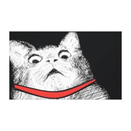 Surprised Cat Gasp Meme - Wrapped Canvas | Zazzle
