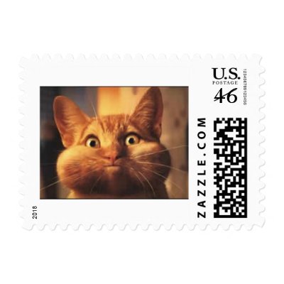 Surprised Cat Stamp by maximus7