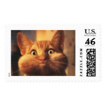 Surprised Cat Stamp