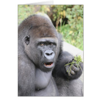 Surprised Gorilla Greeting Cards