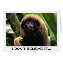 SURPRISED MONKEY CARD