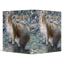 Surprised Squirrel Binder