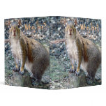 Surprised Squirrel Binder