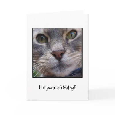 Surprized Cat, It's your birthday? cards. Funny birthday card featuring cat 