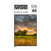 Surreal Sunrise-Stamp-Large-Vertical stamp