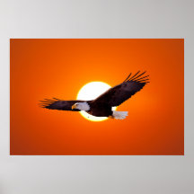 Surreal Venus in transit Posters