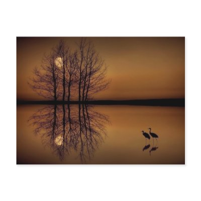 Surrealism Post Card by kcranmerart