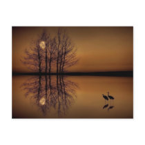 Surrealism Post Card postcards by kcranmerart Surrealism Post Card postcards
