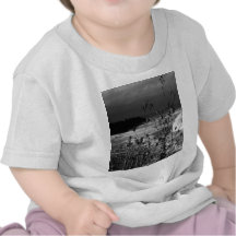 Surrendered Storm T Shirt