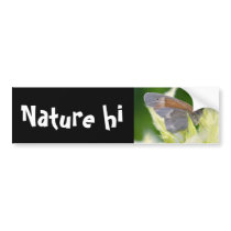surrounded bumper stickers
