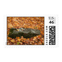 Surrounded By Leaves stamps