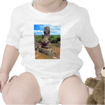 Surveyng His Domain Tees