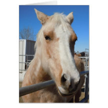 Survival Advice from Cute Friendly Horse Greeting Card