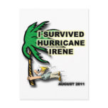 Survived Hurricane Irene Post Cards