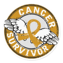Survivor 14 Appendix Cancer Round Stickers