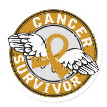 Survivor 14 Appendix Cancer Round Stickers