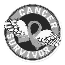 Survivor 14 Brain Cancer Sticker